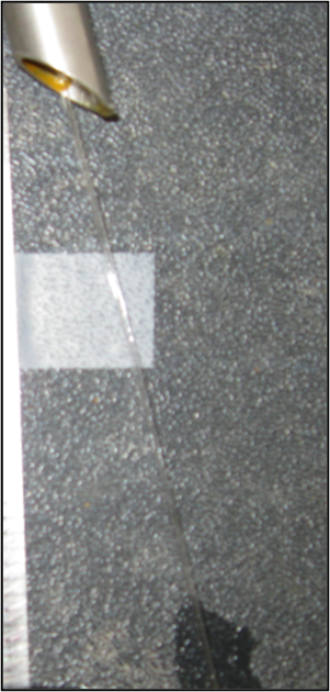 bernard paper advance article