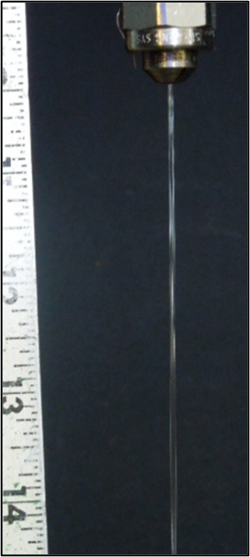 bernard paper advance article