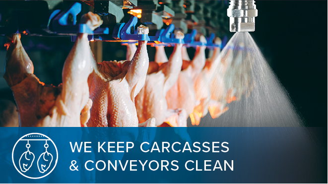 carcasses hanging next to nozzle spraying