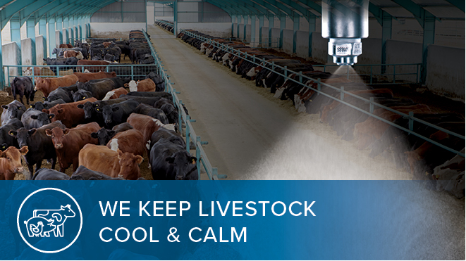 cooling livestock