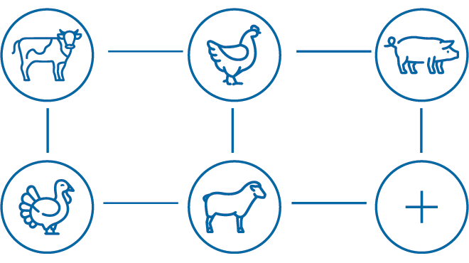 livestock icons