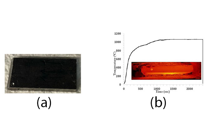 initial as-cast condition of thin slab & thermal profile
