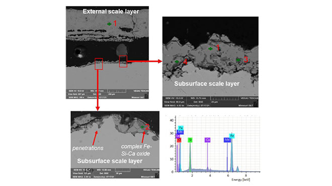 SEM analysis of cross-section of scale structure formed on as-cast surface after reheating
