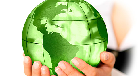 hands holding a green globe