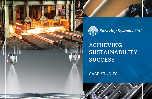 Achieving Sustainability Success