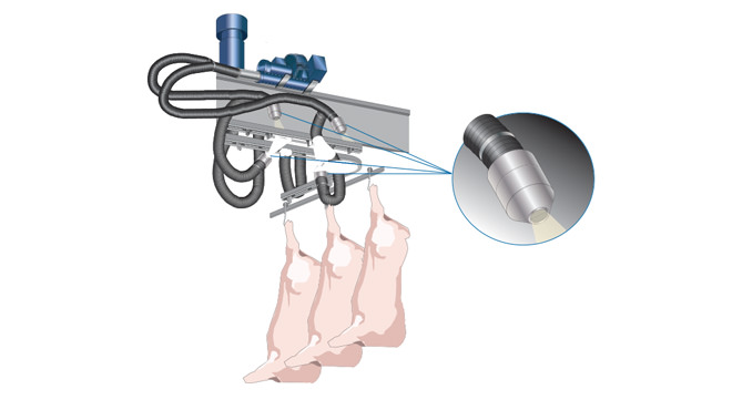 Pork processing blower application