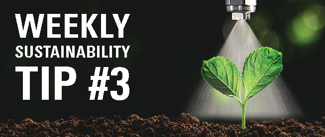 Weekly sustainability tip
