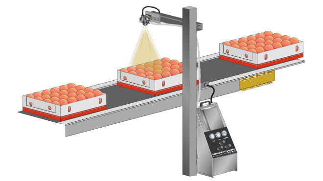 Fruit packing spray system