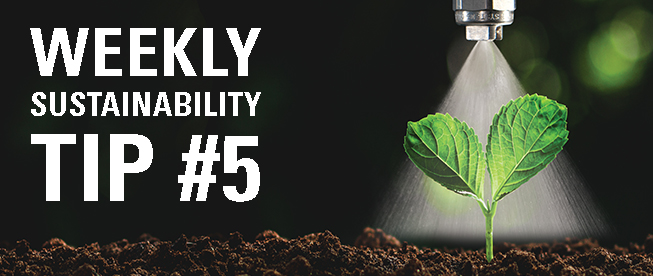 Weekly sustainability tip