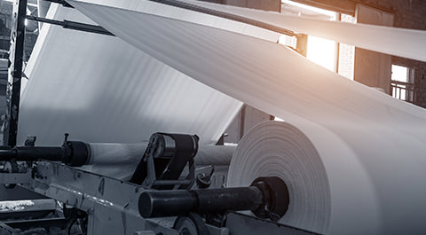 giant roll of paper at paper mill