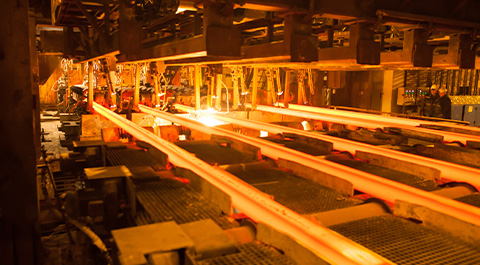 iron & steel making plant