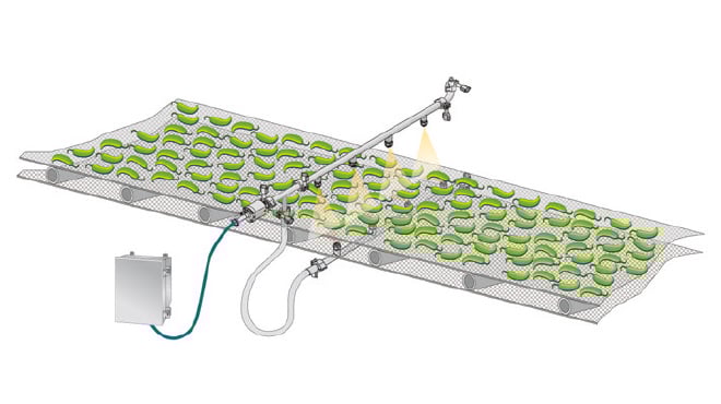 Autojet food safety antimicrobial spray application