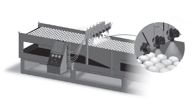 Spraying disinfectant on eggshell