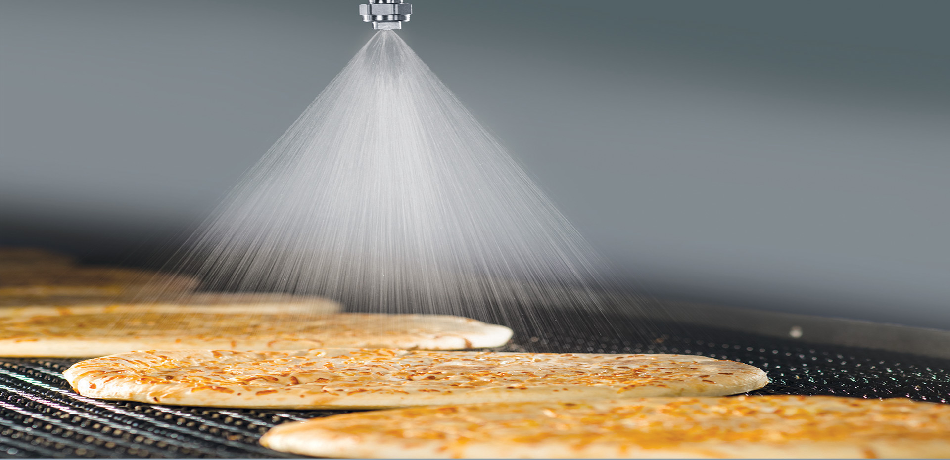 Mould Inhibitor Spraying