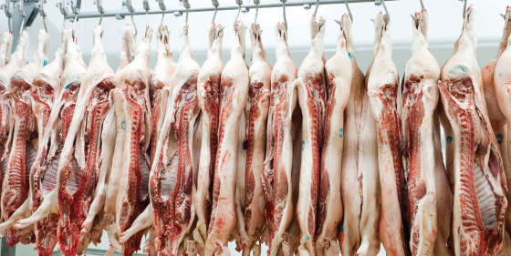 Meat carcass for chilling