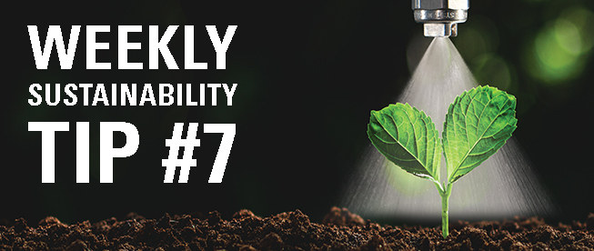 Weekly sustainability tip