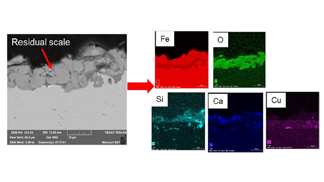 SEM image /EDX mapping from descaled surface