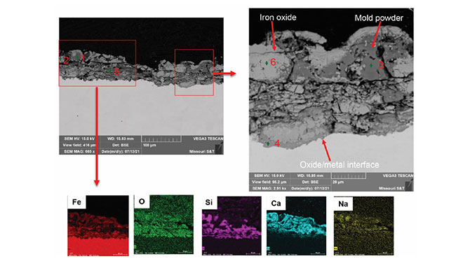 cross-section BSE of scale structure formed on the as-cast surface