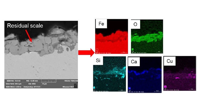 SEM image /EDX mapping from descaled surface