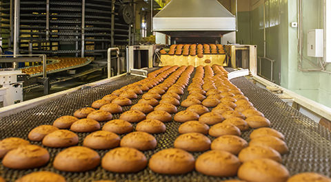 food processing plant with baked goods on conveyor