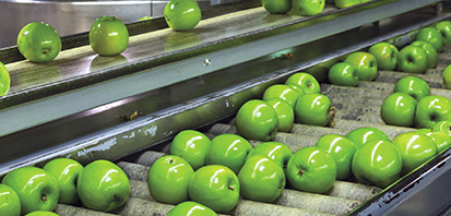 Procesamiento de alimentos