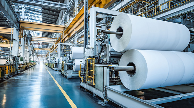 paper plant