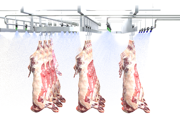 Featured-card-Food-Processing-Meat-Processing-Carcass-Chilling-612x400.png