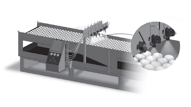 Pulvérisation d'un désinfectant sur une coquille d'œuf