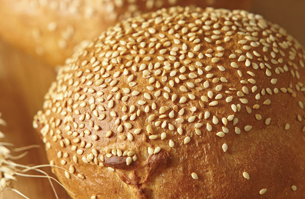 Adhésion de la graine