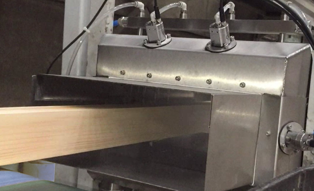 Spruzzatura dell'inibitore di muffa del legno