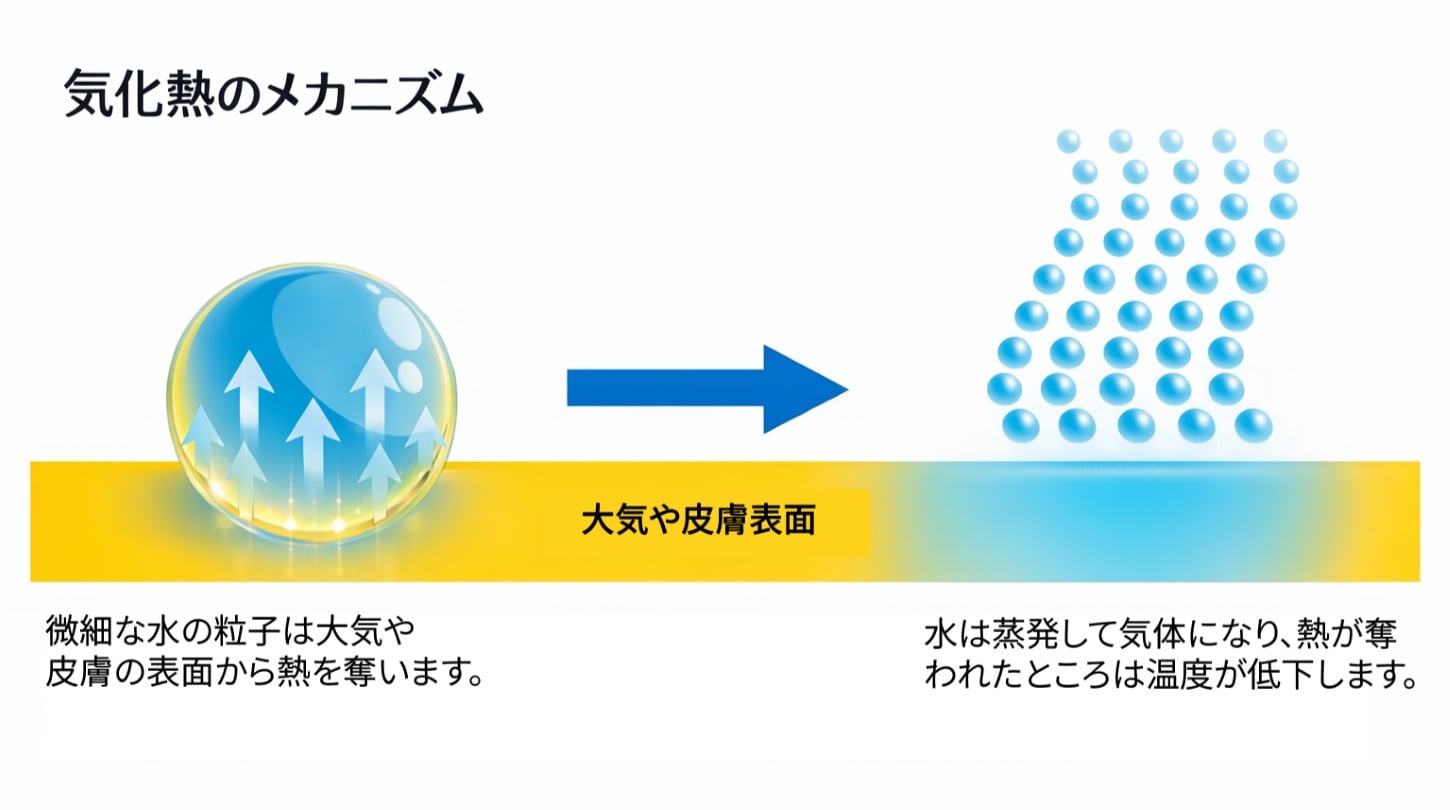 気化熱のメカニズム