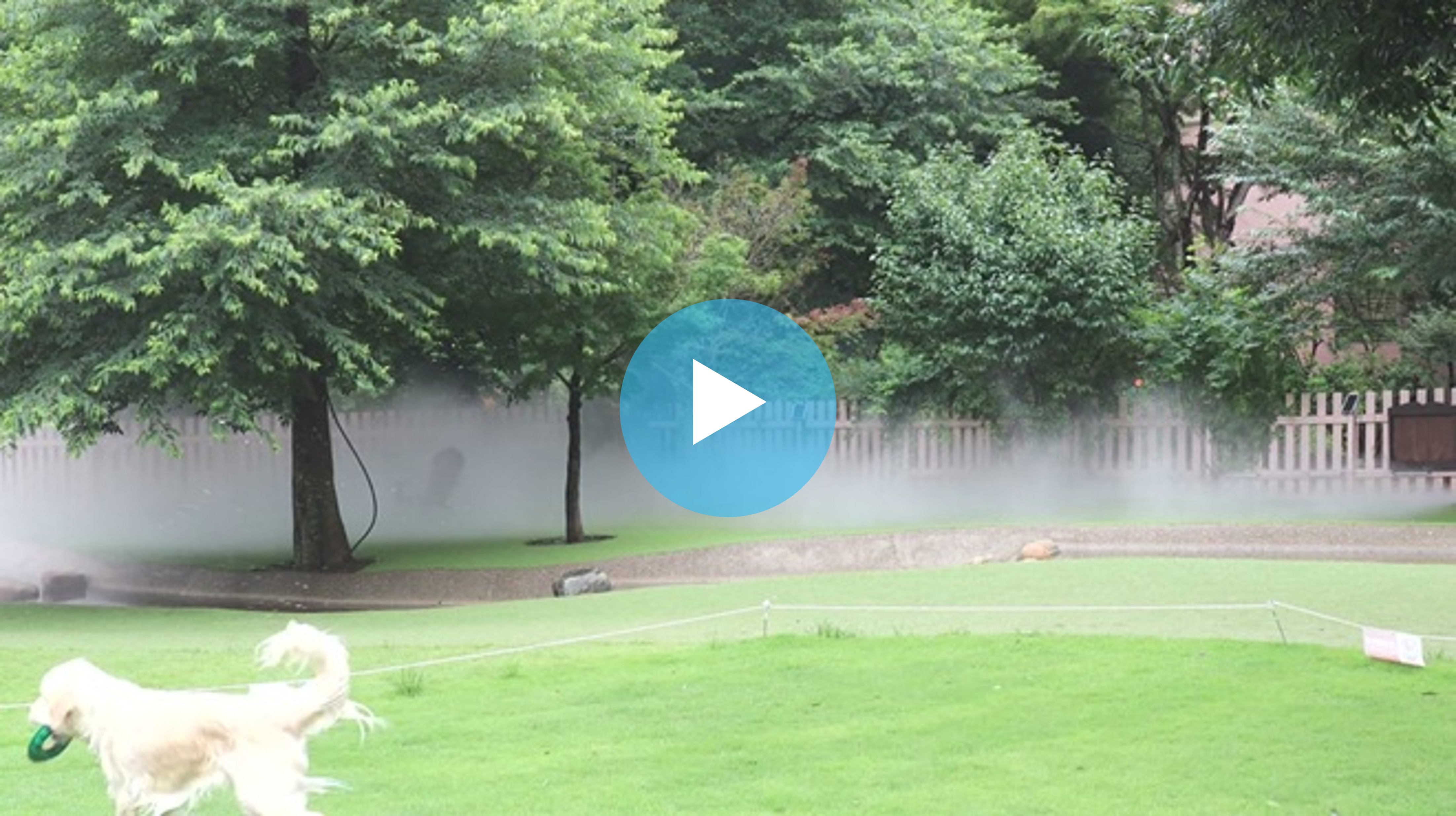 ドッグランでのミストシャワー導入事例