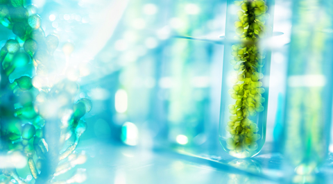 microalgae