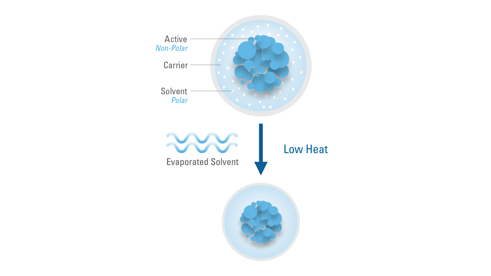 SprayDry Microencapsulation diagram