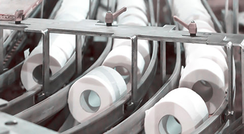 rows of toilet paper at plant