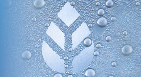 water droplets in shape of a leaf