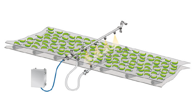 Autojet food safety antimicrobial spray application