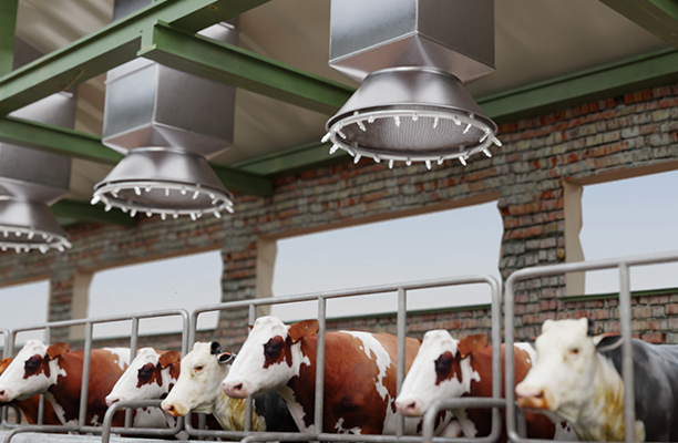 Featured-card-Food-Processing-Dairy-Processing-Cow-Cooling-612x400.png