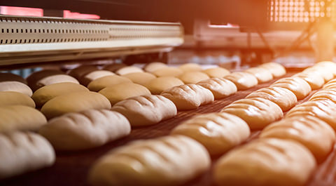 loaves of bread on a conveyor