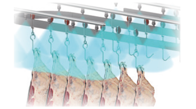 beef processing chilling spray application