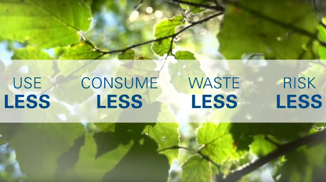 leaves and sunshine promoting sustainability