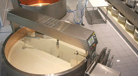 Dairy production