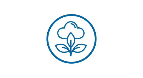 icon of a cloud over a leaf