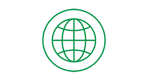 globe icon